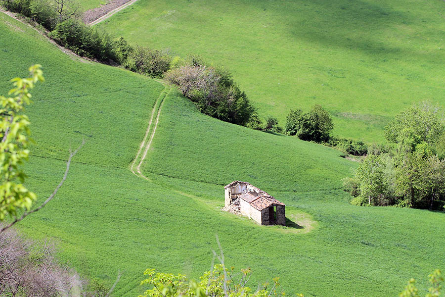 Monte Battaglia panorama IMG_7752.jpg