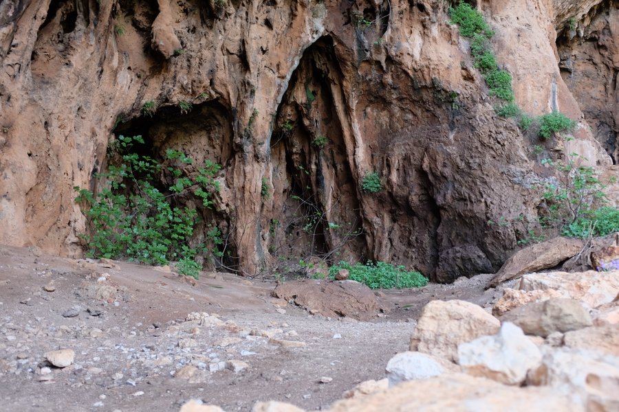 64-Nicola-Zingaro-Grotta dell'Uzzo- 18-04-2015 16-14-03.JPG
