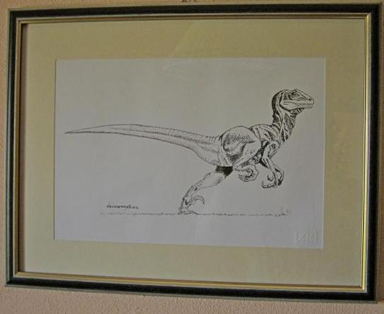 Deinonychus antirrhopus (Ostrom,1969)