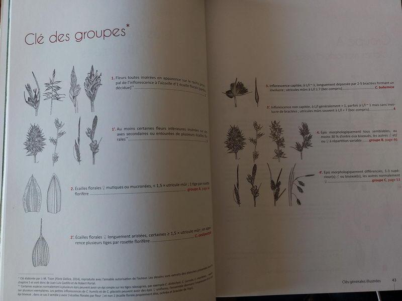 Carex de Francee_2.jpg