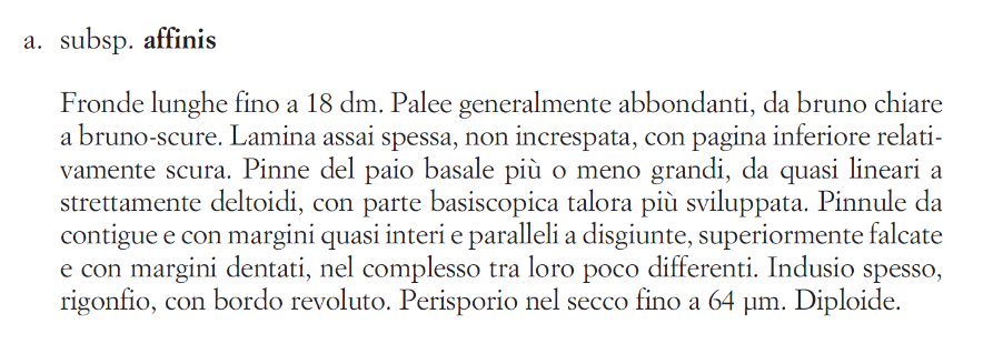 Marchetti 2004 D. affinis subsp  affinis.png