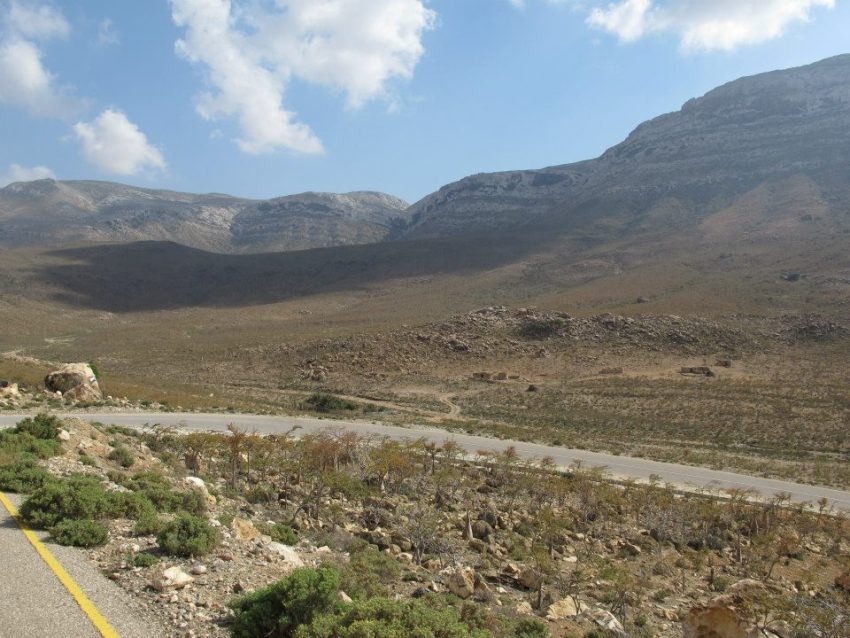 Rilievi calcarei lungo la strada per Qalansiyah