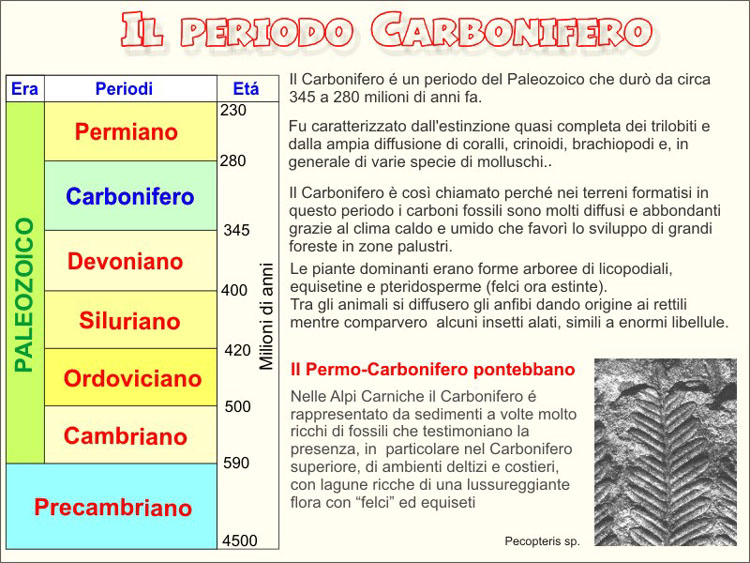 Carbonifero000.jpg