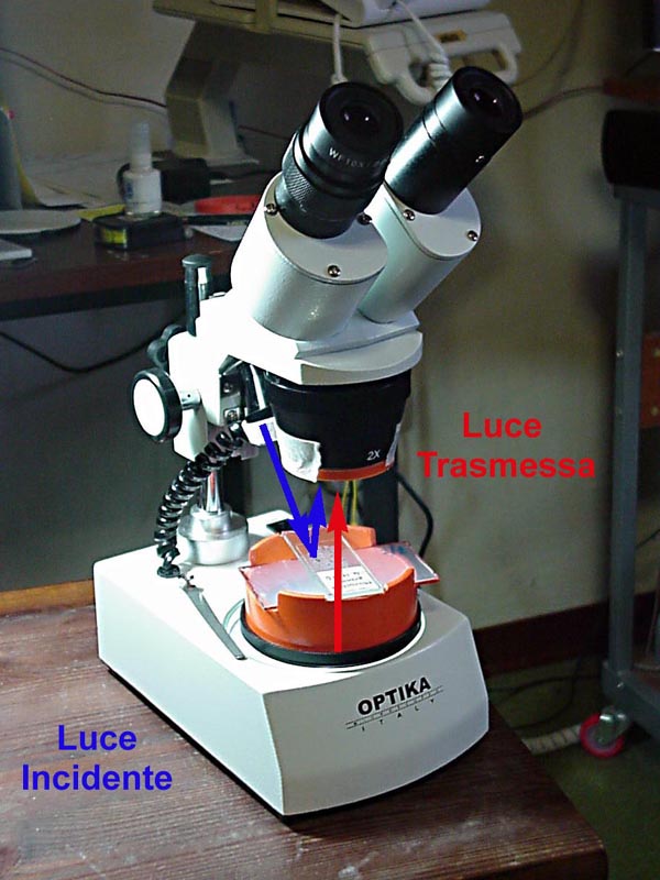 Stereo microscopio attrezzato per luce polarizzata incidente e trasmessa
