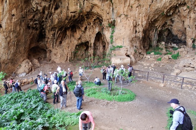 grotta dell'Uzzo1.JPG