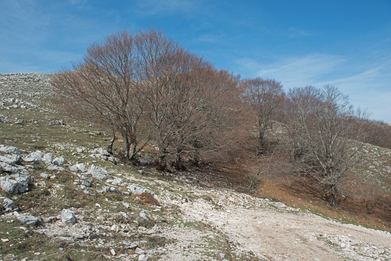 Monte-Redentore-panorama2.jpg
