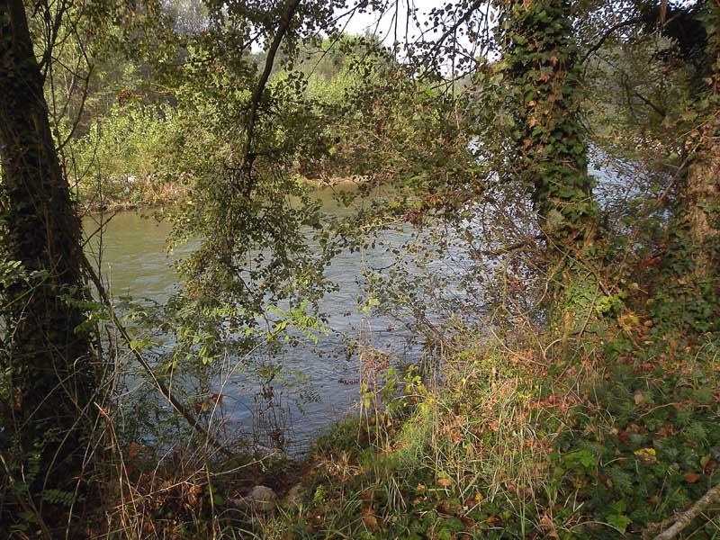 Il fiume Oglio sublacuale in com. di Villachiara -BS-