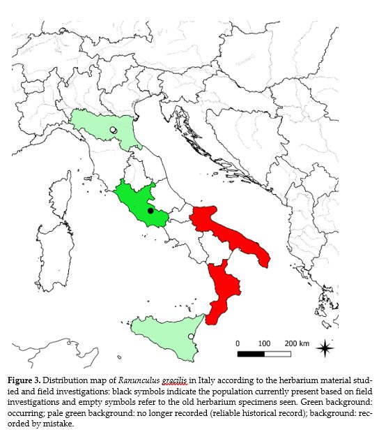 Ranunculus gracilis - distribuzion map.jpg