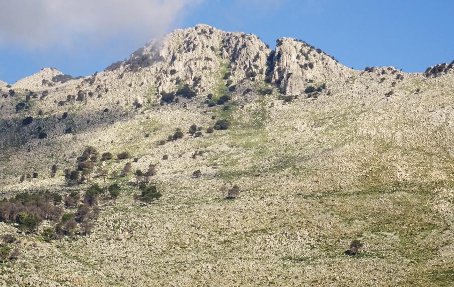 Monte-Sparagio--(Versante-Sud).jpg